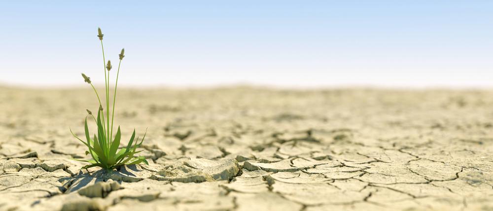 Seit dem Frühjahr 2022 herrscht in Europa eine ausgedehnte Trockenheit, die Folgen für Wasserstände, Landwirtschaft Natur und die Wassernutzung hat. 