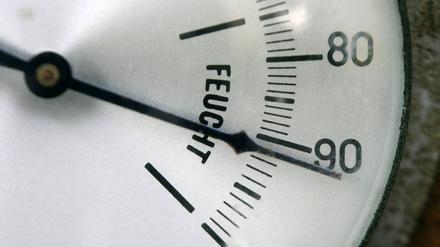 
Hygrometer. Mit den kleinen Messgeräten lassen sich zuverlässig Raumtemperatur und Luftfeuchtigkeit messen. 