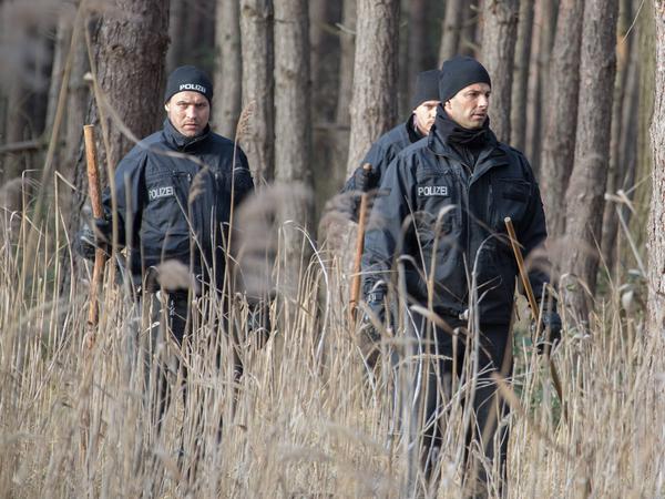 Vergeblich: Wochenlang wurde in Brandenburgs Wäldern nach der Leiche des vermissten Mädchens gesucht. 
