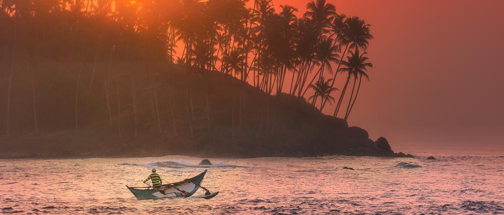 Silhouette of coconut palm, fishermen and sunbeams true trees on beach at sunrise Mirissa, Sri Lanka.