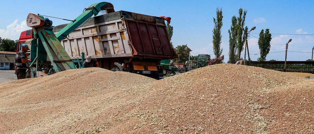 Die Ukraine ist eine Kornkammer für die Erde. Im Frieden haben ihre Exporte Hungersnöte gelindert. Wie aber kommt das Getreide im Krieg nach Afrika, wenn Russland Häfen blockiert?