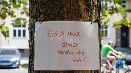 Gieß mich, sonst verdurste ich – Hinweiszettel zum Gießen eines Berliner Straßenbaums.