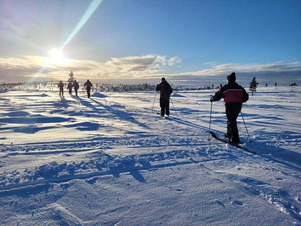 Skiwandern quer durch die lappländische Wildnis ist im hohen Norden ein neuer Trendsport. 
