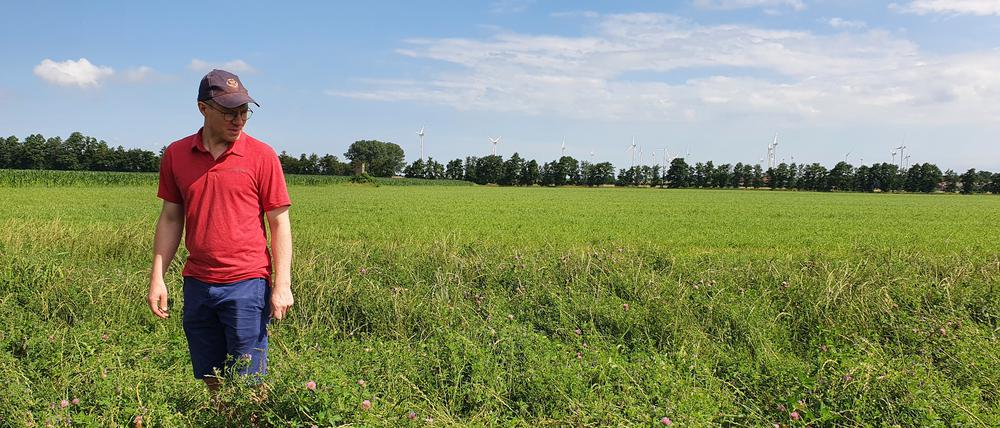Thomas Gäbert, Vorstand der Agrargenossenschaft Trebbin, besichtigt eine Blühinsel