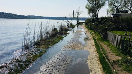 Der Uferweg in Kladow.
