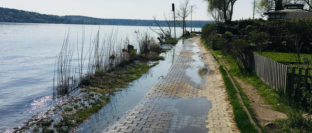 Der Uferweg in Kladow.