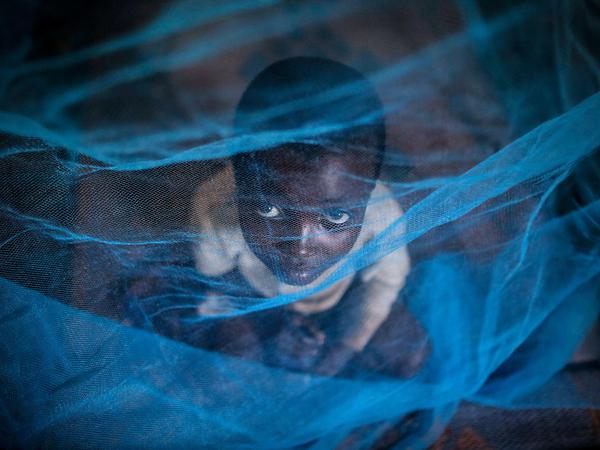 Malaria wird auch weiterhin vor allem ein Problem ärmerer tropischer Länder sein. 