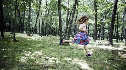 Der Routine davonlaufen: Im Wald können Kinder den Stress ihres durchgetakteten Alltags hinter sich lassen.