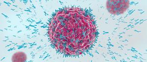 Antikörper attackieren Viruszellen 