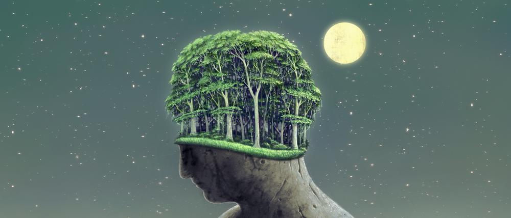Surreal art, forest on human head sculpture, night of nature, fantasy landscape painting, dream concept, digital artwork illustration, imagination