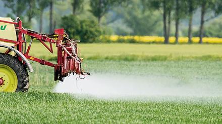 Messungen zur Biodiversität nach der Reduktion von Pestiziden könnten im Vergleich zeigen, welche landwirtschaftlichen Betriebe besonders gefördert werden sollten, schlägt ein Experte vor.