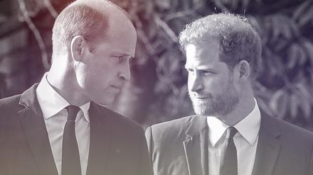 Prinz William (links) und sein Bruder Prinz Harry.