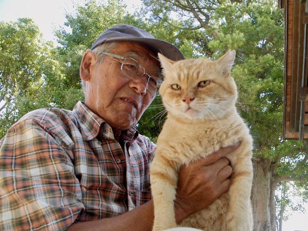 Die Straßenkatzen brauchen Fürsorge, und sind doch viel zu viele:  „The Cats of Gogoku Shrine“, mit Yamamoto-san und dem Kater Mr. Boo.