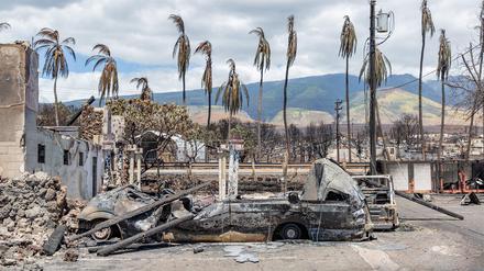 Verbrannte Palmen, zerstörte Autos und Gebäude nach einem Waldbrand in Lahaina im Westen von Maui.