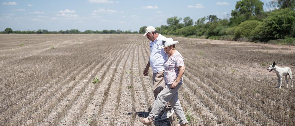 Kollateralschaden. Griselda Ruiz und ihr Mann Jorge nutzen auf ihren Feldern keine verbotenen Pflanzenschutzmittel. Doch die wehen von den Nachbarfeldern herüber. 