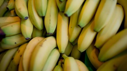  Mehrere Bananen liegen übereinander. Unter ihnen werden häufiger Drogen versteckt.
