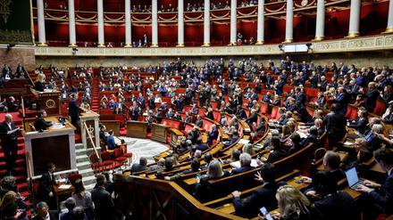 Die französische Nationalversammlung.
