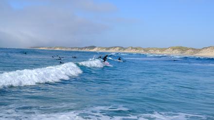 Glatt, regelmäßig, kraftvoll: Die Wellen an der Küste von Nordjütland bieten für Surferinnen und Surfer ideale Bedingungen. 