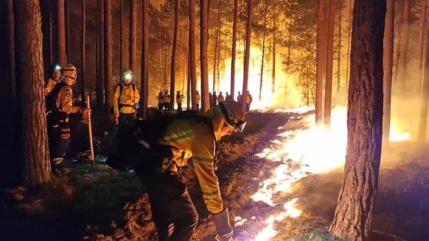Einsatzkräfte der Hilfsorganisation „Fire“ legen Gegenfeuer in Beelitz, um eine weitere Ausbreitung der Flammen zu verhindern.