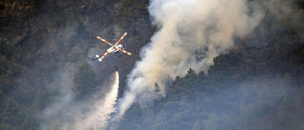 Ein Bild des Waldbrands auf Teneriffa im August 2023. 