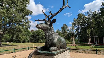 Wapiti-Hirsche im Tiergarten.