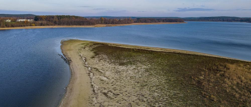 Am Großen Seddiner See vor den Toren Berlins ist der Wassermangel schon jetzt sichtbar. Kommt der Kohleausstieg 2038, wird sich die Lage verschärfen.