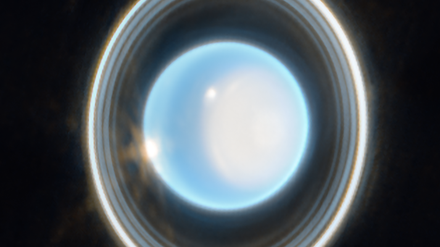 Das Infrarot-Bild zeigt elf der insgesamt 13 bekannten Ringe des Uranus und zudem diverse Monde sowie Details seiner Atmosphäre wie etwa Wolken.