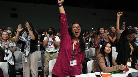  Dubai: Wardarina Thaib, Co-Vorsitzende und Programmbeauftragte des „Asia Pacific Forum on Women, Law and Development“ reckt den Arm in die Höhe während des Volksplenums während der Weltklimakonferenz der Vereinten Nationen (COP28).  