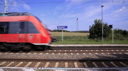 Neue Züge, dichtere Takte und bessere Verbindungen: Innerhalb der nächsten fünf Jahre soll der Nahverkehr in Brandenburg so umfassend wie nie zuvor in der jüngeren Geschichte des Landes ausgeweitet werden. 