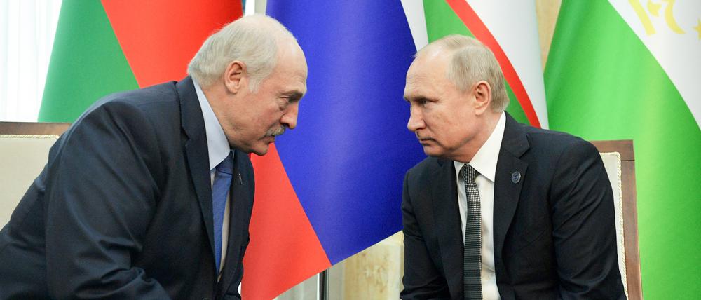 Narzisstische Persönlichkeiten. Wladimir Putin (r) und Alexander Lukaschenko, Präsident von Weißrussland