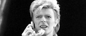 Er war eine Ikone seine Zeit - und ist es bis heute: David Bowie.