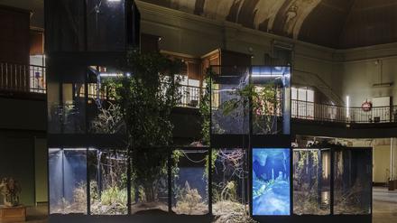Ugo Schiavis Installation „Grafted Memory System“ im ehemaligen Naturkundemuseum von Lyon. 