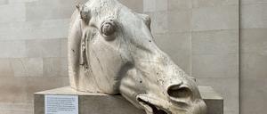 Das Original des Pferdekopfs im British Museum in London. 