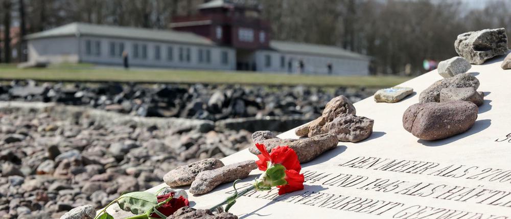An der Gedenkstätte des ehemaligen KZ Buchenwald singt der Knabenchor der Jenaer Philharmonie.