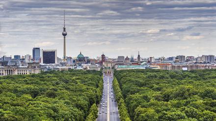 Grün, grün, grün: Für die Stadt der Zukunft braucht es mehr Flächen wie den Berliner Tiergarten.