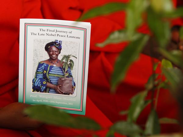 Für viele junge Klimaaktivistinnen in Afrika ist die kenianische Friedensnobelpreisträgerin und Umweltschützerin Wangari Maathai ein Vorbild - auch für Fatou Jeng.