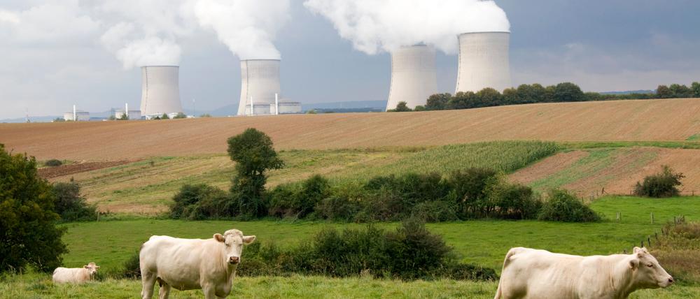 Seit 1986 ist der erste Reaktorblock des französischen Kernkraftwerks von Cattenom in Betrieb. 