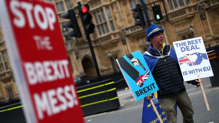Ein Demonstrant gegen den EU-Austritt vor dem Parlament in London.