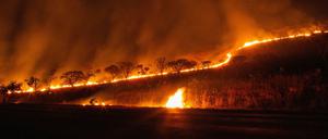 Feuer brennt im brasilianischen Nationalpark Chapada dos Veadeiros. Auch im Pantanal, dem weltgrößten Feuchtgebiet, brennt es. 