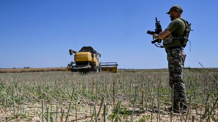 Ein Soldat steht während der Erntezeit in der Ukraine auf einem Feld.
