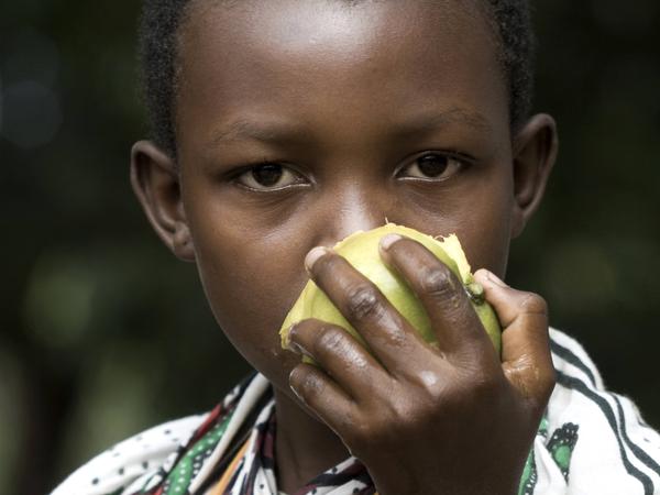 In den „Food Forests“ werden Mangos und andere Früchte für die Schulkinder angebaut. 