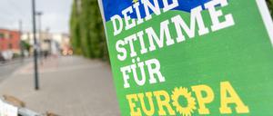 Bei der letzten Europawahl holten die Grünen bundesweit 20,5 Prozent.