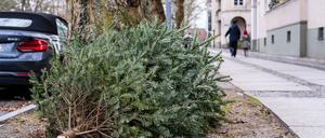 Öffentliche Müllentsorgung. Ein Ex-Weihnachtsbaum am Straßenrand in Charlottenburg.