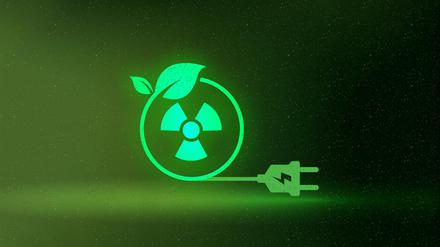 Die EU-Kommission schlägt vor, die Atomkraft als grüne Energiequelle einzustufen. Wie steht es um die Chancen der Bundesregierung, daran noch etwas zu ändern?