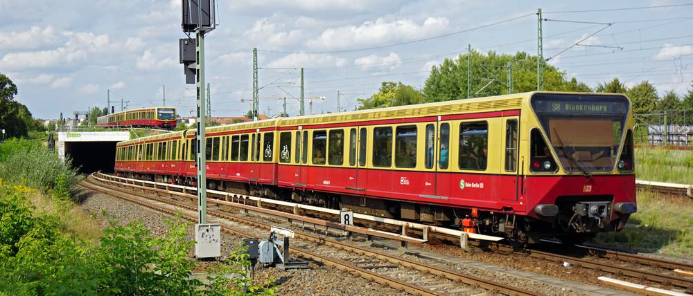Ein Zug der Linie S8.