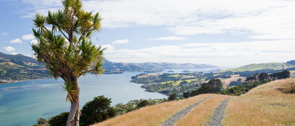 Auf der Otago-Halbinsel in Neuseeland erlebte unsere Kolumnistin den schönsten Lauf ihres Lebens.
