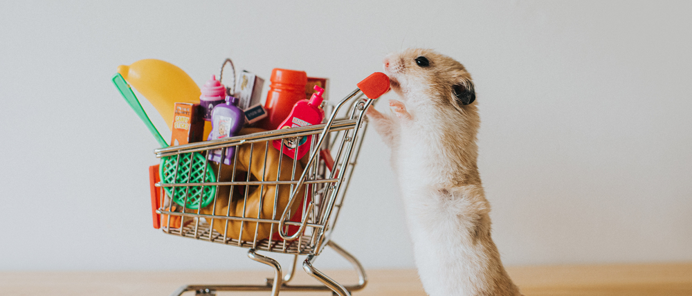Hamsterkäufe müssen nicht sein: Sie verschärfen das Problem nur.