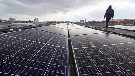 Irgendwas mit Solarzellen. Mehr als drei Millionen Menschen in Deutschland arbeiten in Jobs, die mit Umweltschutz zu tun haben. 