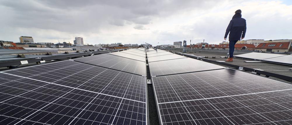 Irgendwas mit Solarzellen. Mehr als drei Millionen Menschen in Deutschland arbeiten in Jobs, die mit Umweltschutz zu tun haben. 
