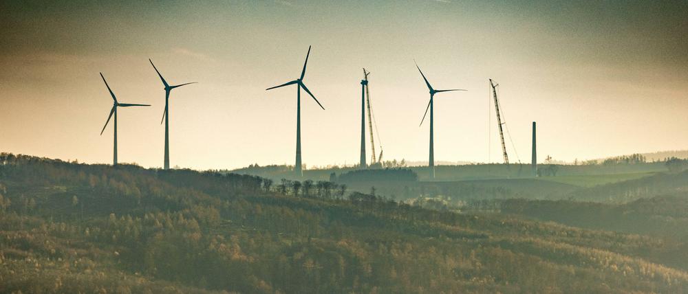 Windräder könnten in Zukunft öfter in Wäldern stehen. 